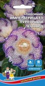 Цветы Глоксиния Императрица F1 Пурпурный Леопард ЕП УД