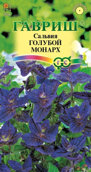 Цветы Сальвия Голубой Монарх ЕП Гавриш - Интернет-магазин семян
