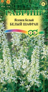 Цветы Ясенец Белый шафран ЕП Гавриш