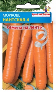 Морковь Нантская4