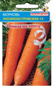 Морковь Лосиноостровская13