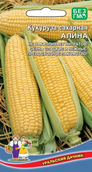 Кукуруза сахарная Алина ЕП УД - Интернет-магазин семян