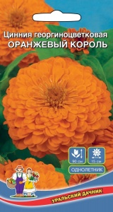 Цветы Цинния георгиноцветковая Оранжевый Король
