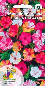 Цветы Мирабилис ялапа Смесь Окрасок