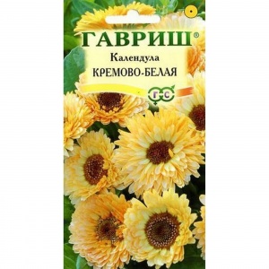 Цветы Календула Кремово-Белая лекартсвенная ЕП Гавриш