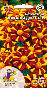 Цветы Бархатцы Джолли Джестер