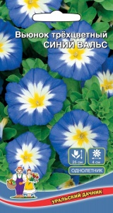 Цветы Вьюнок Синий Вальс трехцветный