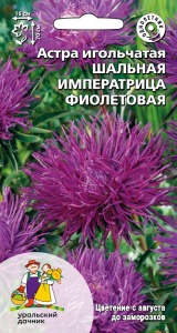 Цветы Астра игольчатая Шальная Императрица Сине-Фиолетовая