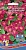 Цветы Настурция Розовый Шар низкорослая